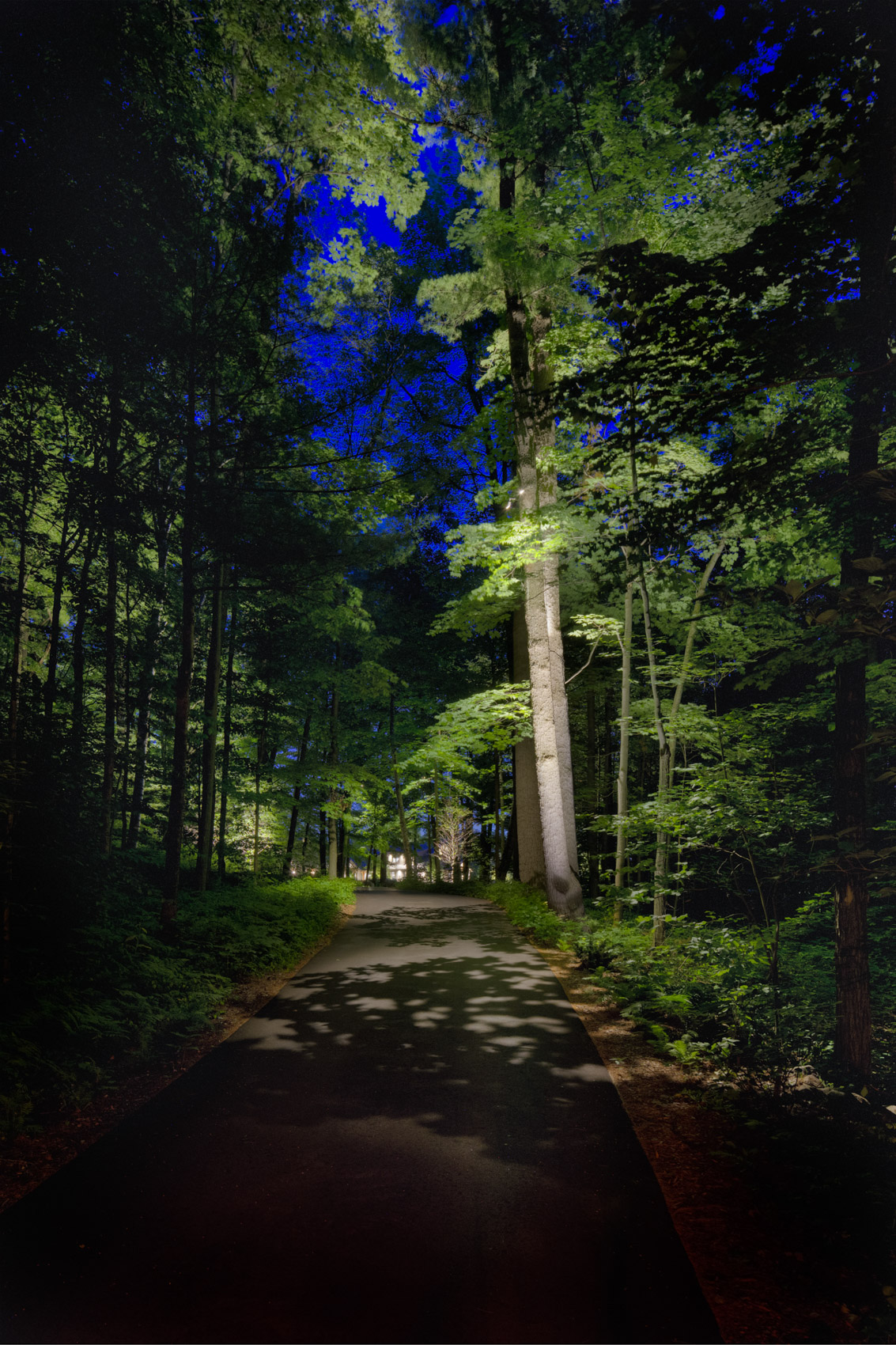 Landscape Plus Ltd.