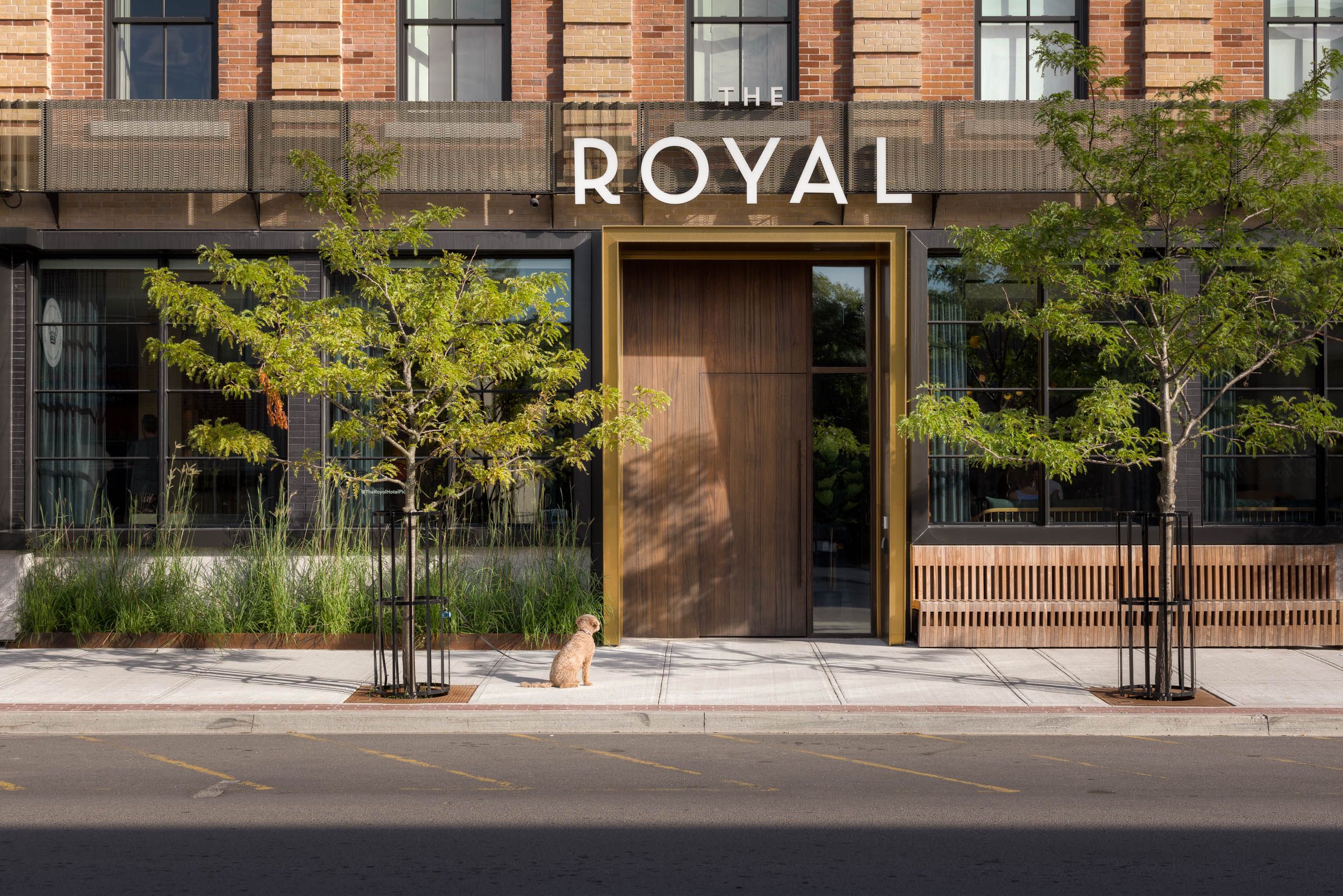 MNP-ROYAL-JRA-004